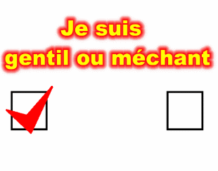 je suis gentille ou mechante